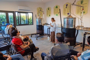 Chypre : Herbes médicinales et labyrinthe dans le parc botanique de Cyherbia