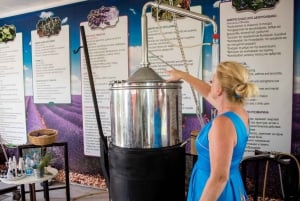 Chypre : Herbes médicinales et labyrinthe dans le parc botanique de Cyherbia