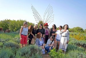 Chypre : Herbes médicinales et labyrinthe dans le parc botanique de Cyherbia