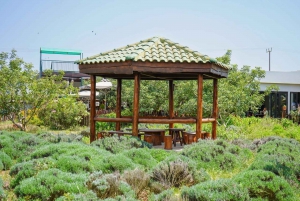 Chypre : Herbes médicinales et labyrinthe dans le parc botanique de Cyherbia