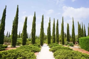 Chypre : Herbes médicinales et labyrinthe dans le parc botanique de Cyherbia