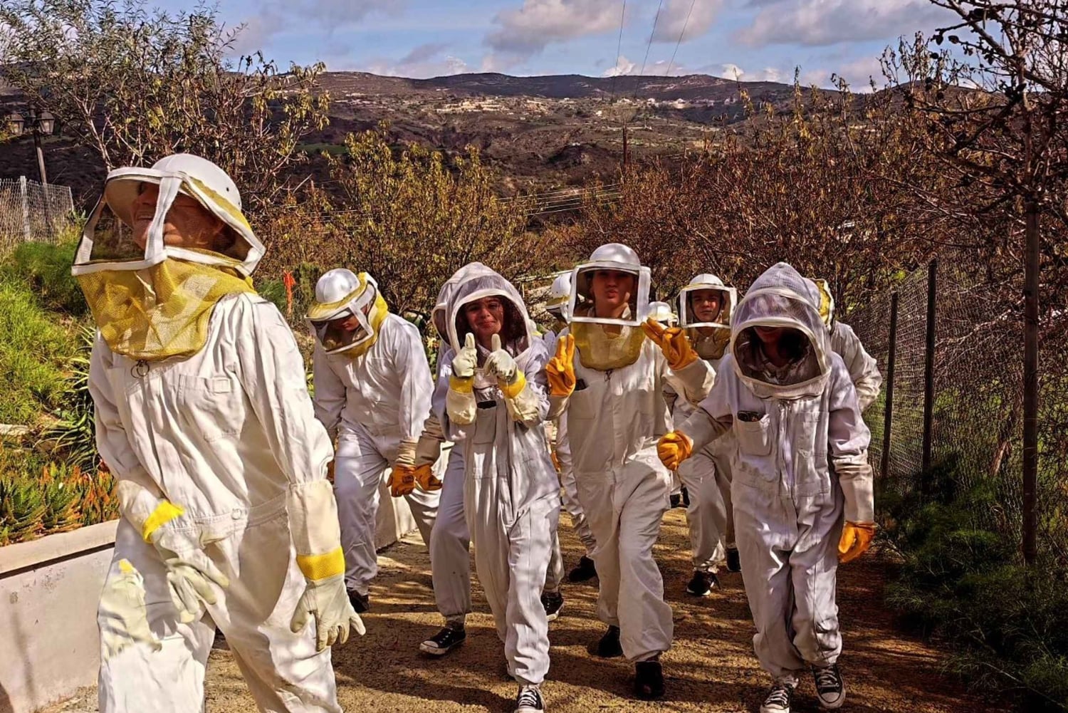 Cyprus: Honey Tour, Tasting, and Beekeeper Experience