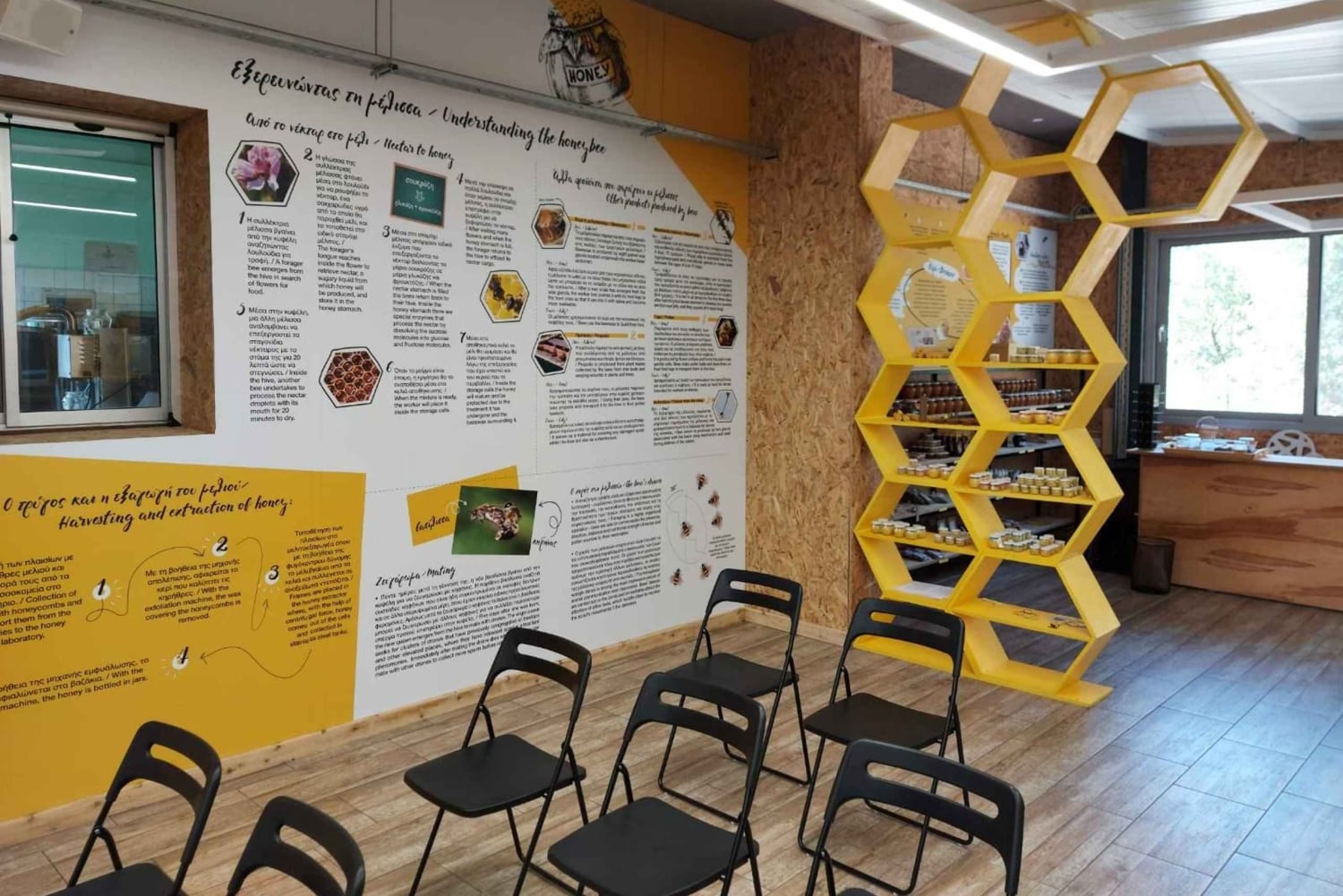 Cyprus: Honey Tour, Tasting, and Beekeeper Experience