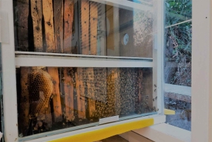 Cyprus: Honey Tour, Tasting, and Beekeeper Experience