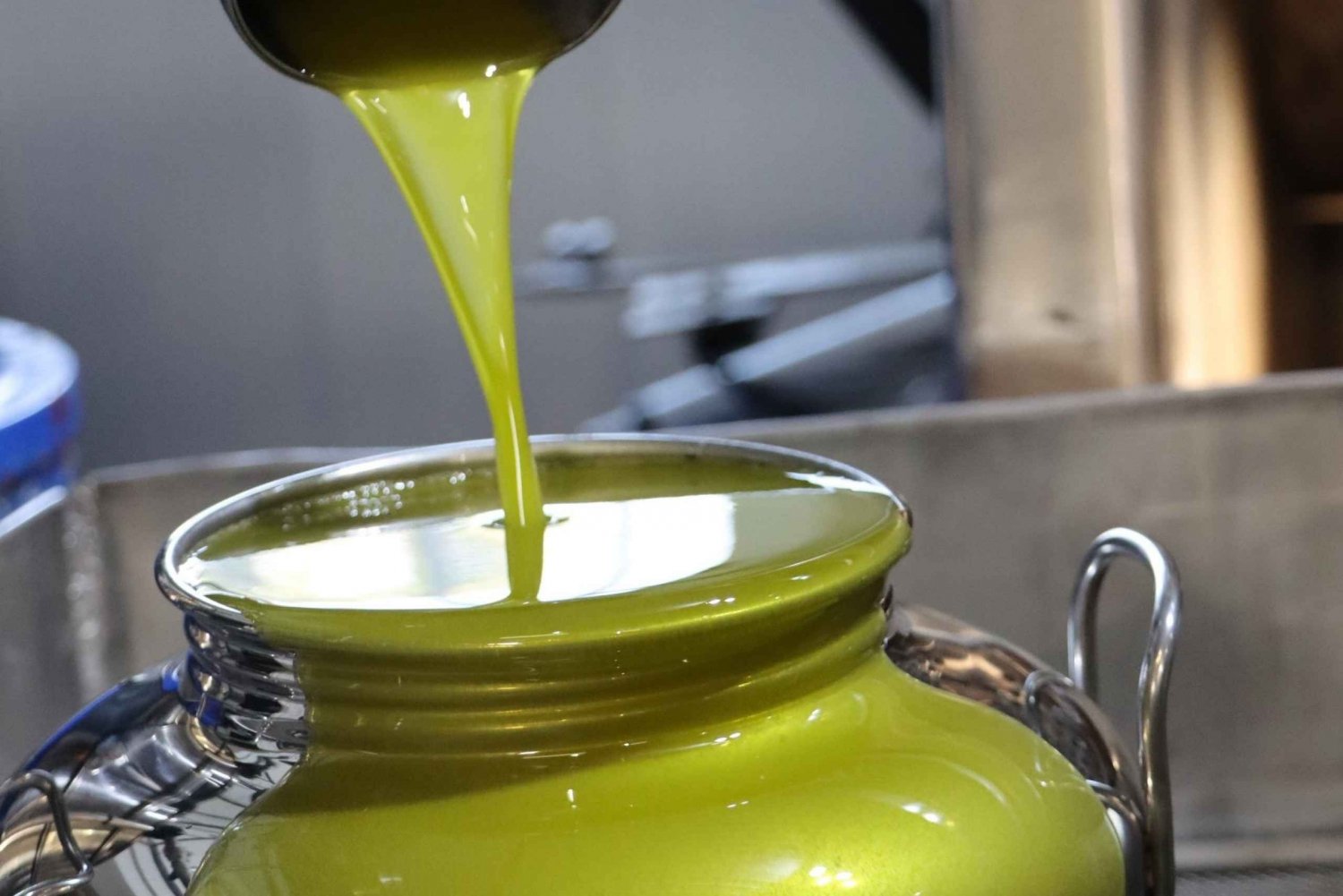 Cyprus :Olive oil Tasting & Olive mill