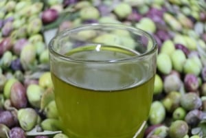 Cyprus :Olive oil Tasting & Olive mill