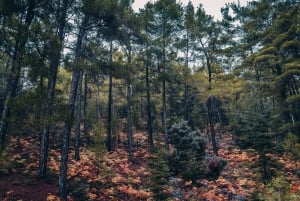 Кипр: фототур с профессиональным фотографом