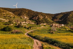 Cypr: Wycieczka fotograficzna z profesjonalnym fotografem