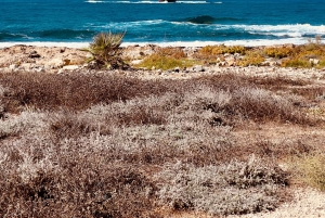 Cypr: Wycieczka fotograficzna z profesjonalnym fotografem