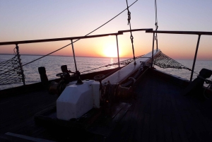 Chipre: crucero privado de un día en yate para hasta 40 personas