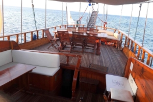 Chipre: crucero privado de un día en yate para hasta 40 personas