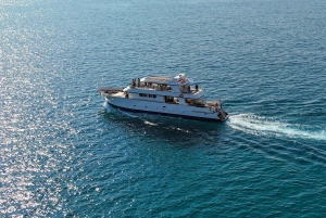 Larnaca: Crucero en barco con fondo de cristal, pesca y almuerzo con barbacoa