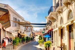 Cyperns historia och charm: en privat heldagstur från Pafos