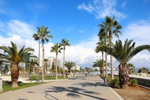 L'histoire et le charme de Chypre : Excursion privée d'une journée au départ de Paphos