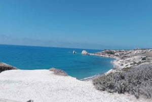 Cyprus tours Aphrodite Rocks, Kolosi Castel, Apollo Temple,