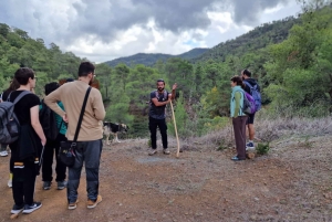 Chipre: Troodos e Geoparque ou excursão pela floresta e aldeias de Pafos