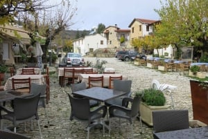 Cyprus: Troodos Mountain Wine Tour with a Local
