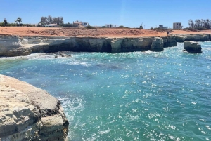 Cyprus Wine & Gastronomy Tour: wine & food tasting