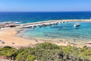 Cyprus Wine & Gastronomy Tour: wine & food tasting