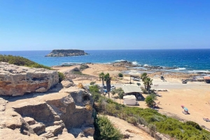 Cyprus Wine & Gastronomy Tour: wine & food tasting