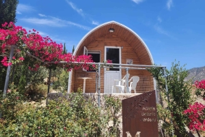 Cyprus Wine & Gastronomy Tour: wine & food tasting