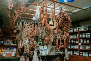 Cyprus Wine & Gastronomy Tour: wine & food tasting