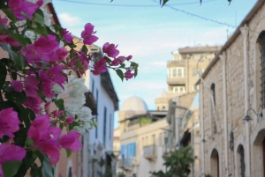 Discover Limassol and Cyprus culture with a local(Tip-based)