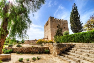 Discover Heritage of Cyprus: Private Tour from Limassol