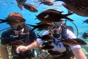 Découverte de la plongée sous-marine