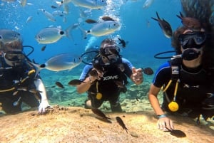 Découverte de la plongée sous-marine