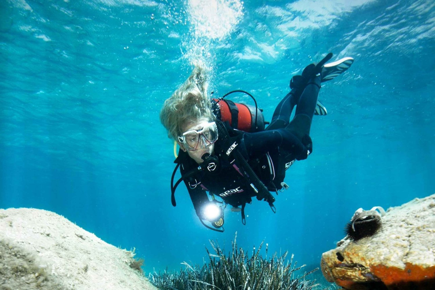 Green Bay - best dive site in Protaras for beginners and