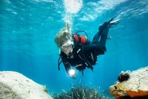 Scuba Diving - dive between Sculptures in the centre of fish