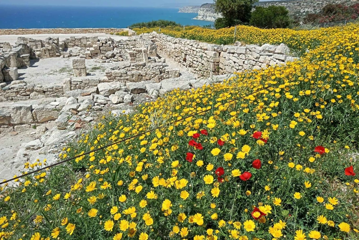 Utforsk Kypros' underverker fra Limassol cruiseterminal