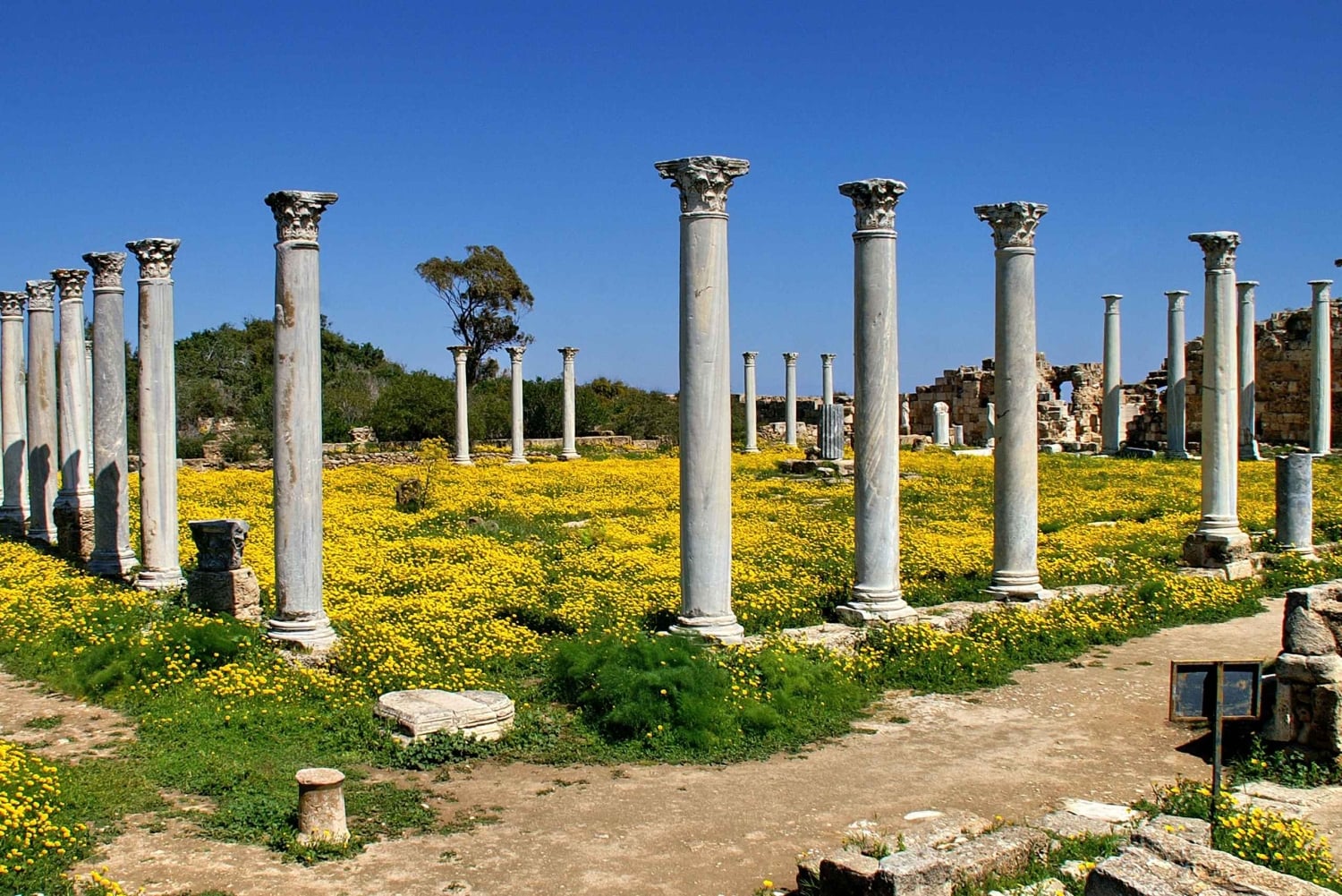 Famagusta & Salamis met Italiaanssprekende gids