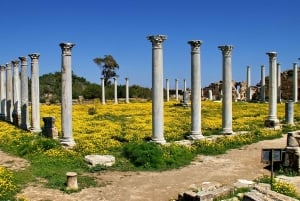 Famagusta & Salamis met Italiaanssprekende gids