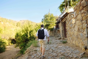 From Ayia Napa: Fikardou, Machairas & Lefkara Guided Tour