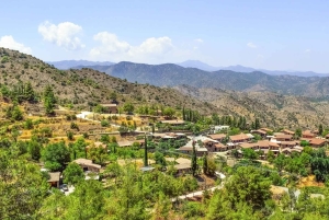 From Ayia Napa: Fikardou, Machairas & Lefkara Guided Tour