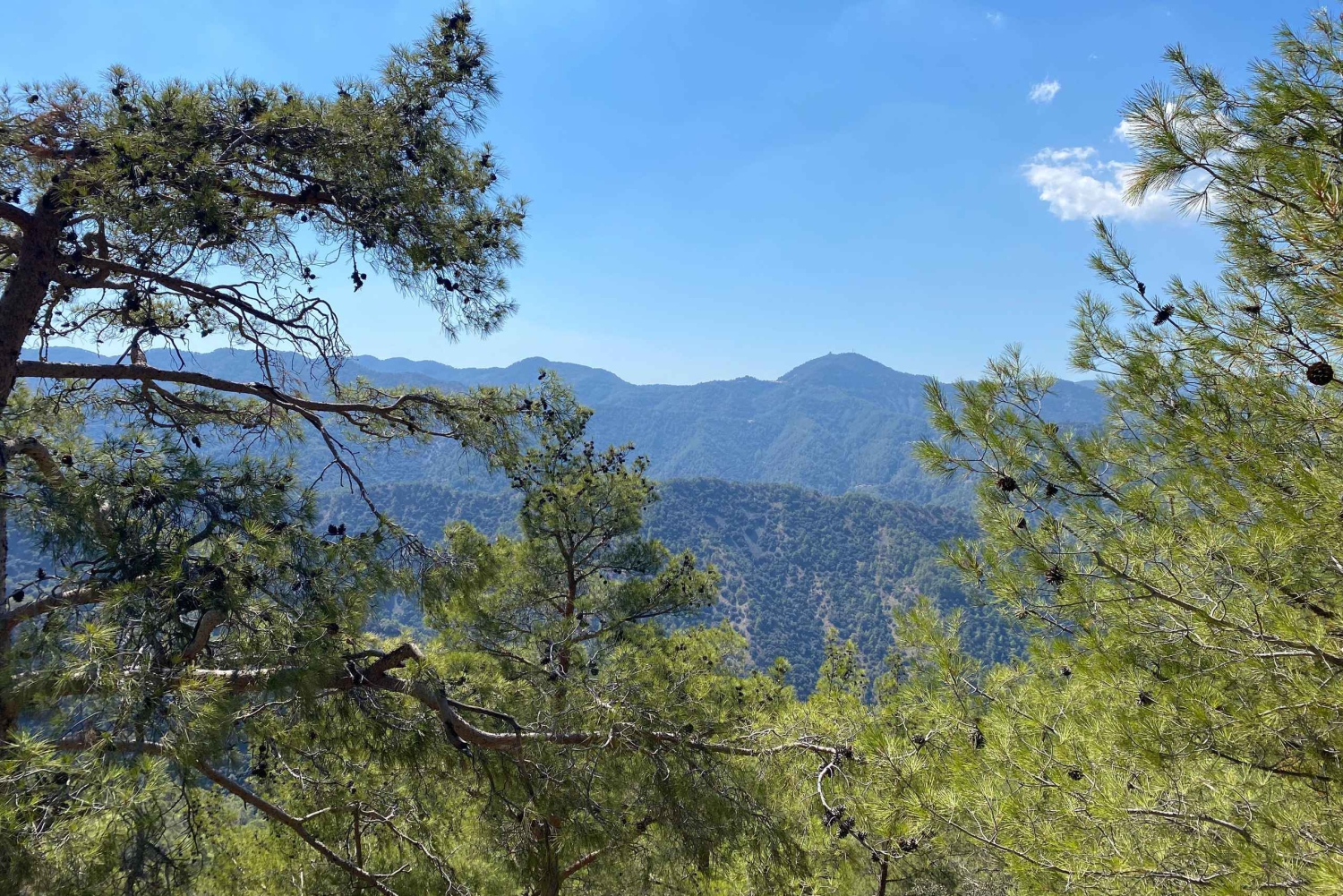From Ayia Napa, Limassol: Troodos Mountains Private Day Trip