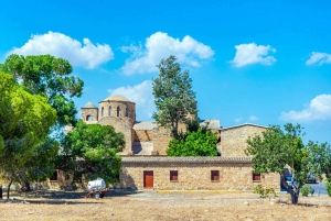 Z Ayia Napa i Protaras: wycieczka z przewodnikiem do Famagusty i Salamis