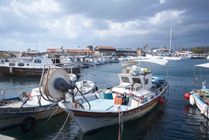 Von Ayia Napa & Protaras: Kourion Tour und Paphos Stadt