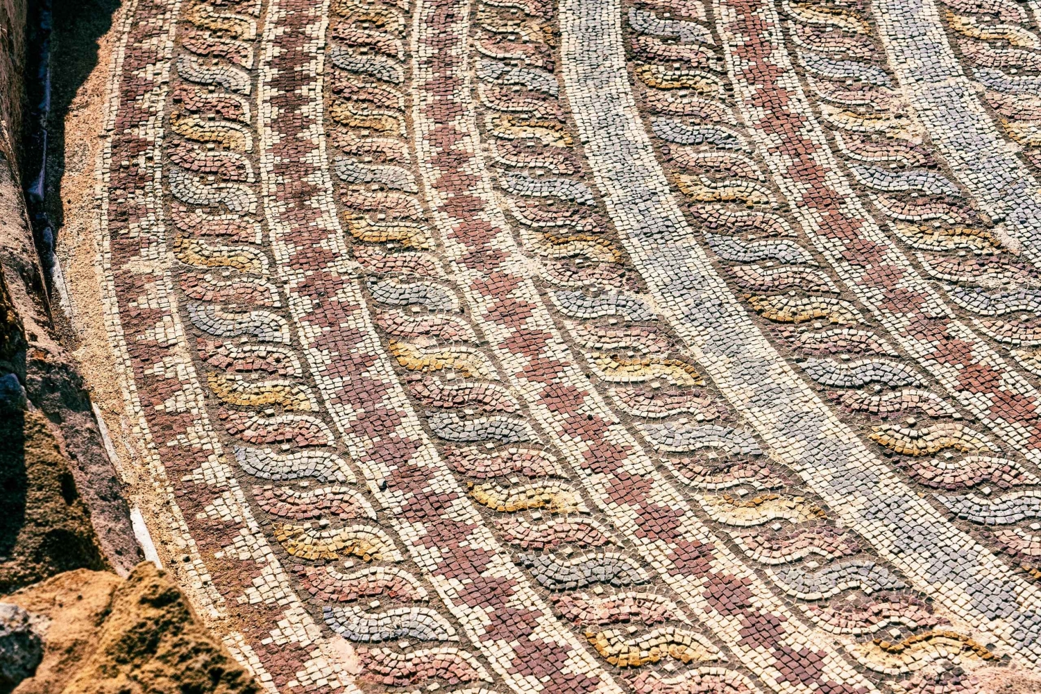 Ayia Napa/Protaras/Larnaca: Paphos & Kourion italiaksi