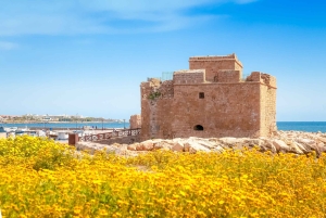 Ayia Napa/Protaras/Larnaca: Paphos & Kourion italiaksi