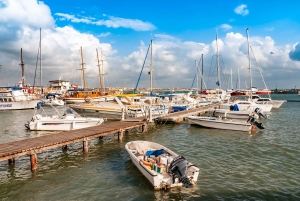 Ayia Napa/Protaras/Larnaca: Paphos & Kourion italiaksi