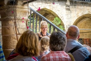 Från Ayia Napa/Protaras: Rundvandring i Nicosia