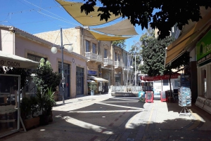 Från Ayia Napa/Protaras: Rundvandring i Nicosia