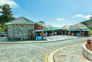 VANUIT LARNACA/AYIA NAPA/PROTARAS: Nicosia, Troödos en Limassol