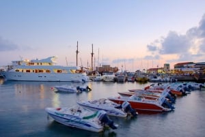 From Larnaca: Pafos and Kourion Coach Tour in English