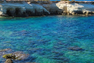 From Limassol: Akamas Highlights and Blue Lagoon Day Trip