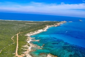 Desde el Norte de Chipre: Excursión a la Península de Karpaz