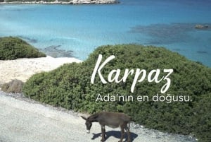 Pohjois-Kyprokselta: Karpaz Peninsula Tour